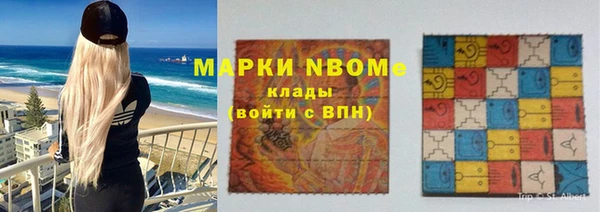 шишки Заводоуковск