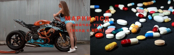 индика Зеленокумск