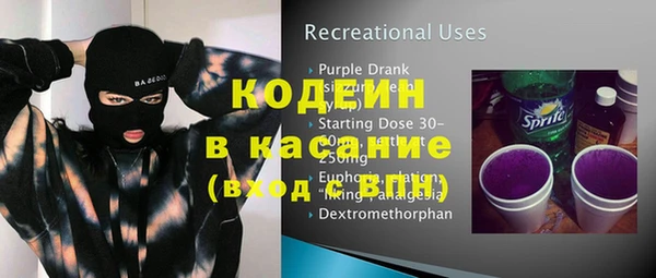 шишки Заводоуковск