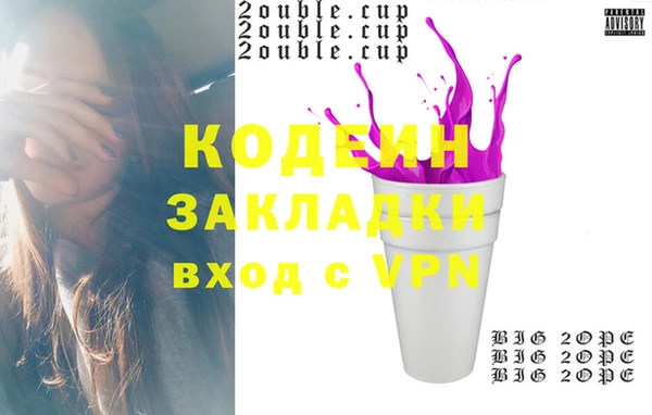 шишки Заводоуковск