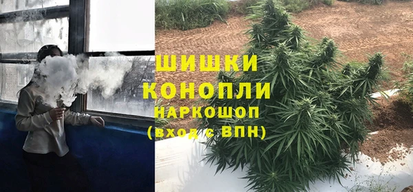 шишки Заводоуковск