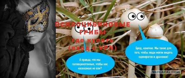 шишки Заводоуковск