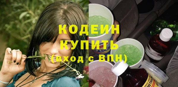 шишки Заводоуковск