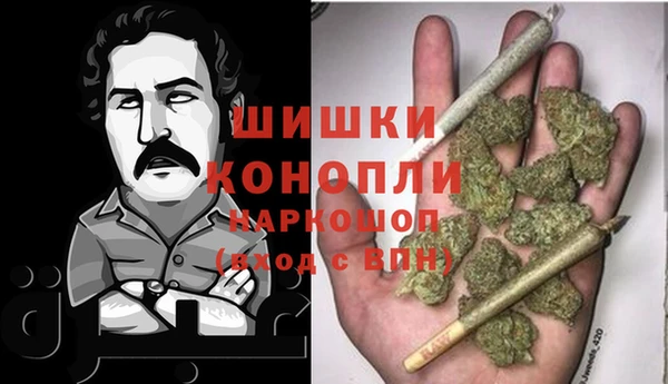 шишки Заводоуковск