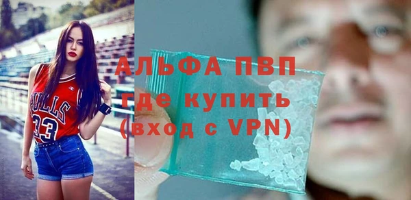 шишки Заводоуковск
