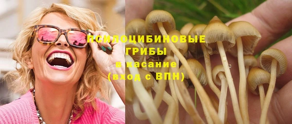шишки Заводоуковск