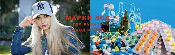 шишки Заводоуковск