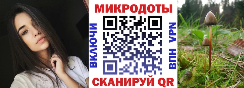 Галлюциногенные грибы GOLDEN TEACHER  Купить закладки  Когалым 
